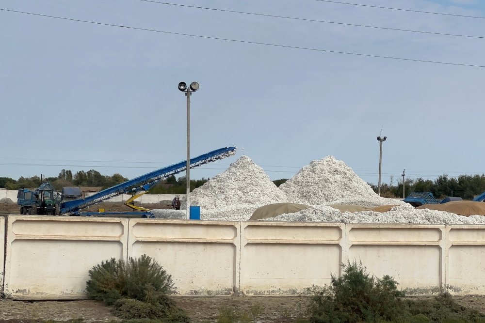 People collecting cotton with a machine