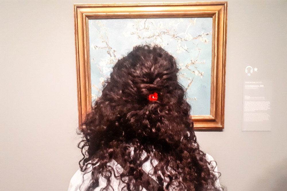 Almond Blossoms, Van Gogh Museum Amsterdam Almond Blossoms, Van Gogh Museum Amsterdam