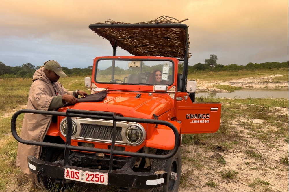 Sunset Safari tour in Hwange National Park, Zimbabwe