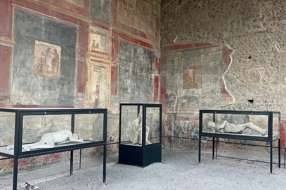 The House of Loreius Tiburtinus, Pompeii 
