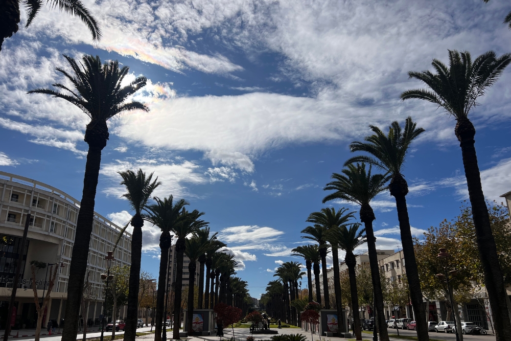 Avenue de France Fes Avenue de France Fes