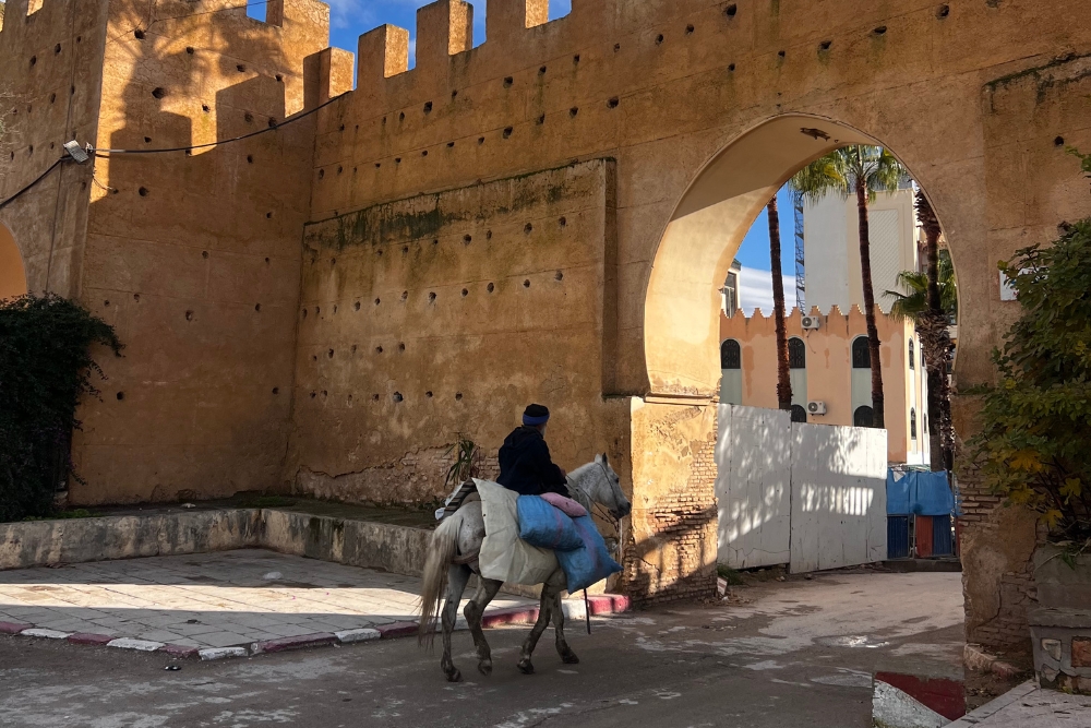 Fes Medina Gate Fes Medina Gate
