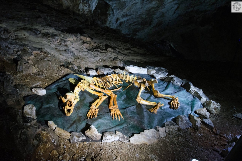 Valea Cetății Cave Gabriela Travels