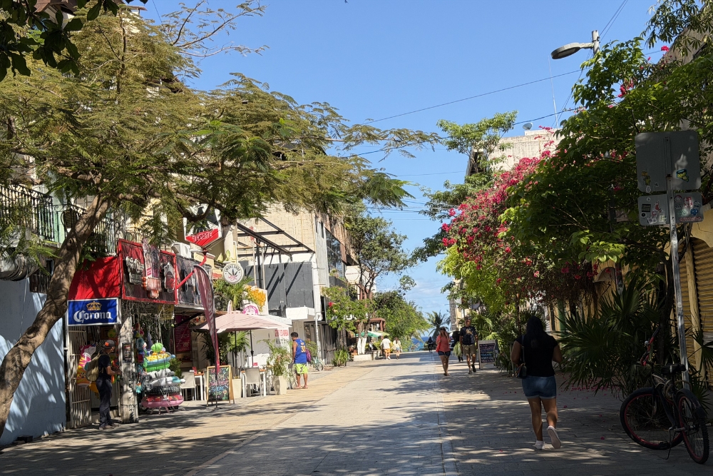 5th avenue street Playa del Carmen