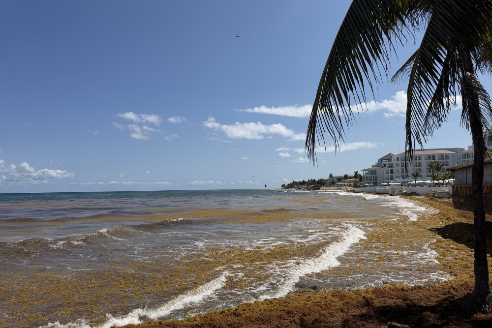 Playa del Carmen beach