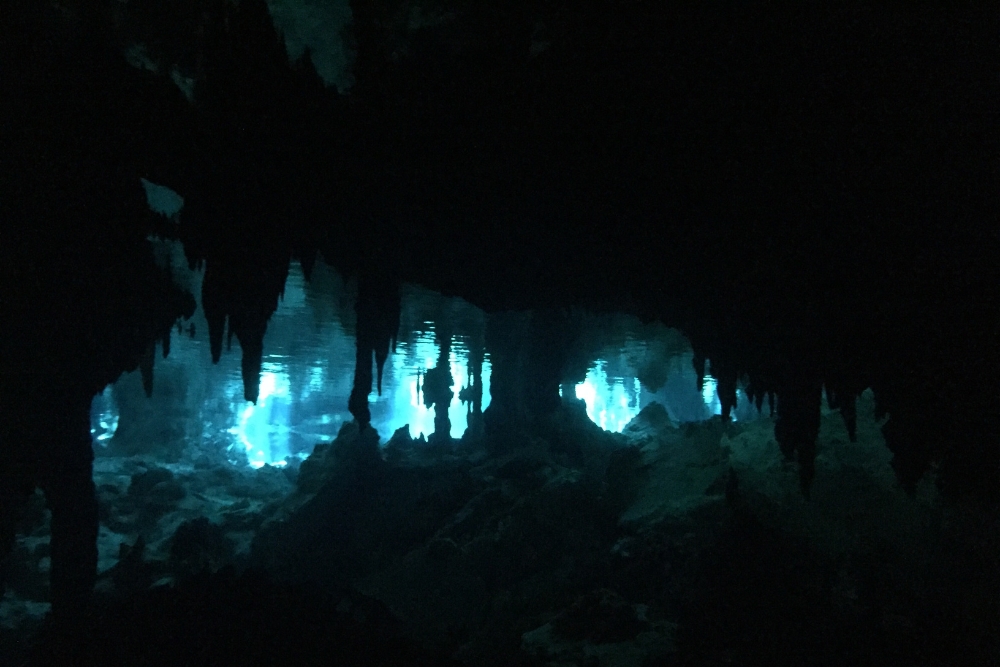Two Eyes Cenote Dos Ojos