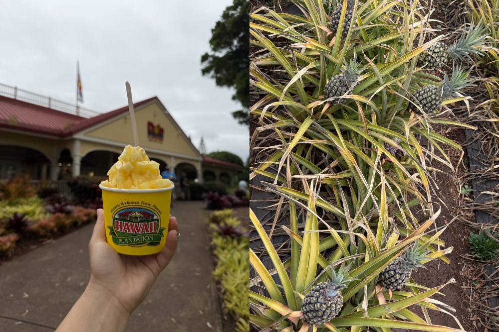 Dole Plantation