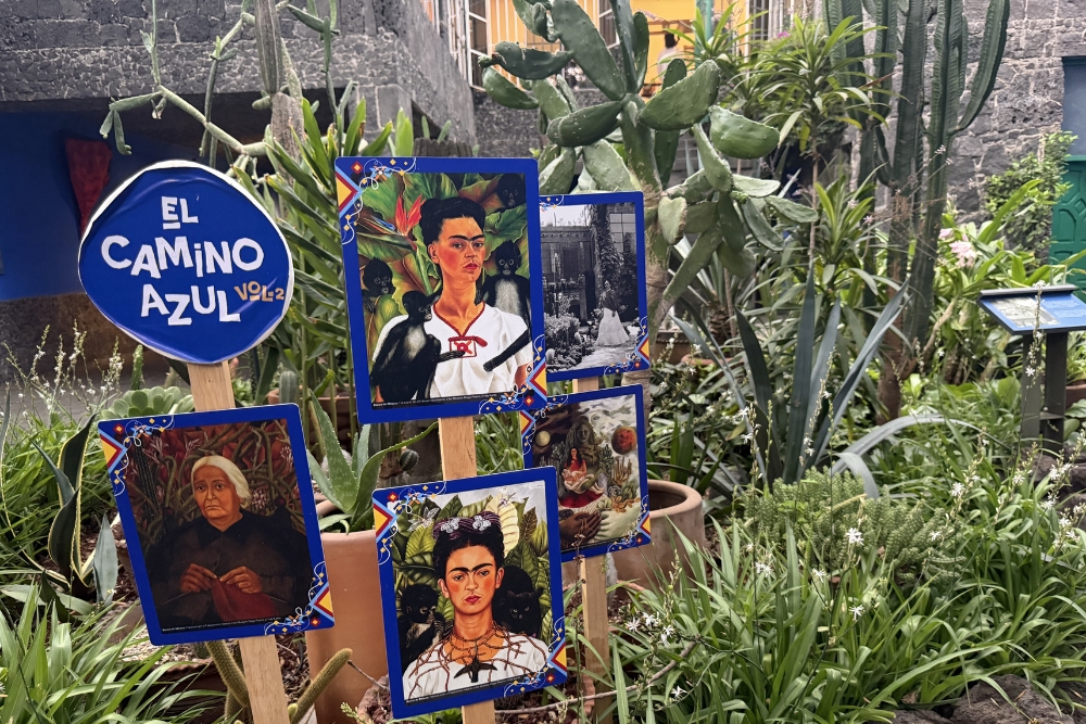The Garden and Rotating Exhibition La Casa Azul