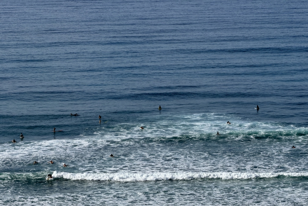 surfers in Diamond Head beach park surfers in Diamond Head beach park